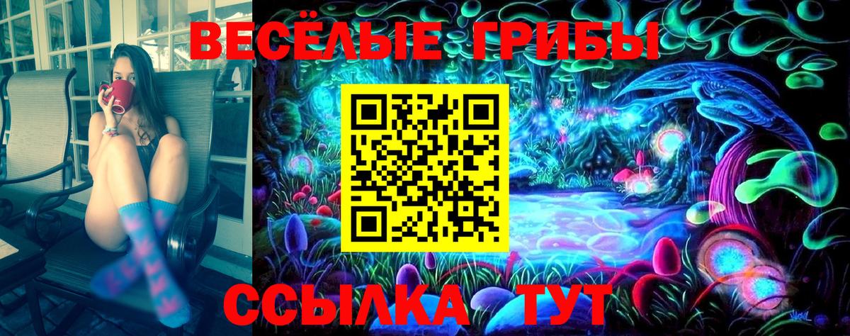 Галлюциногенные грибы Psilocybe Новочебоксарск