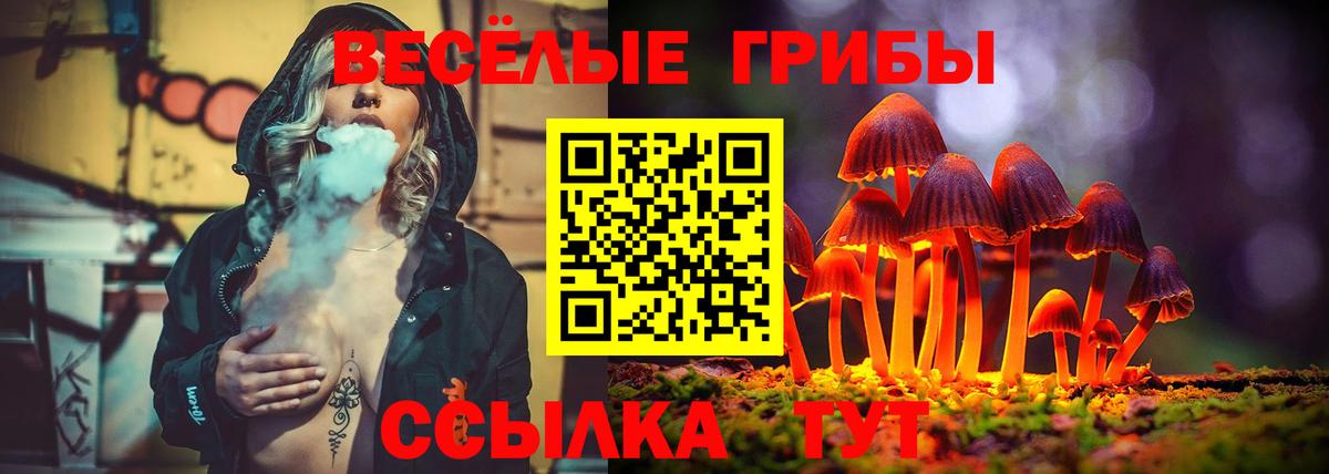 Псилоцибиновые грибы MAGIC MUSHROOMS  Вход с VPN  как найти   Новочебоксарск 